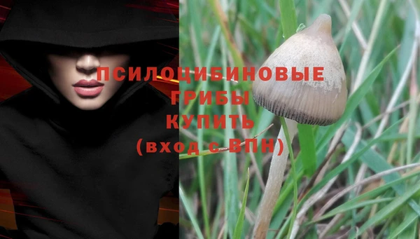 ГАЛЛЮЦИНОГЕННЫЕ ГРИБЫ Заволжск