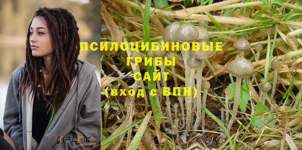spice Заводоуковск