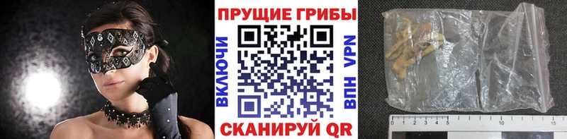 Купить закладки  Галич  Галлюциногенные грибы прущие грибы 